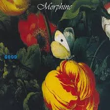 Copertina di Good