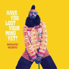 Copertina di Have You Lost Your Mind Yet?