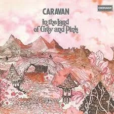 Copertina di In The Land Of Grey And Pink
