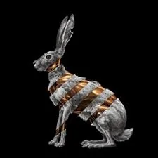 Copertina di Jackrabbit