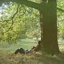 Copertina di Plastic Ono Band