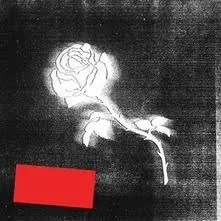 Copertina di Liberato