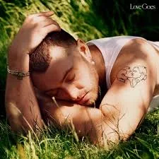 Copertina di Lovegoes