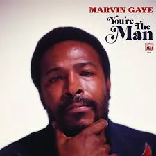 Copertina di You'Re The Man