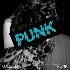 Copertina di Punk