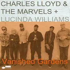 Copertina di Vanished Gardens