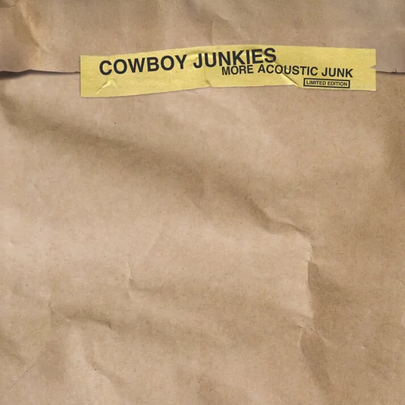 Copertina di More Acoustic Junk