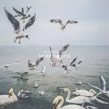Copertina di More Or Less