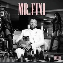 Copertina di Mr. Fini