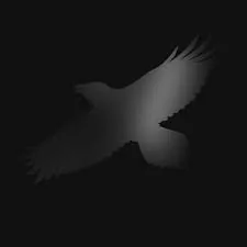 Copertina di Odin'S Raven Magic