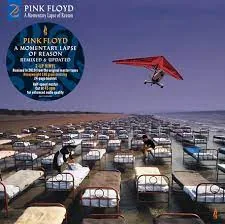 Copertina di A Momentary Lapse Of Reason