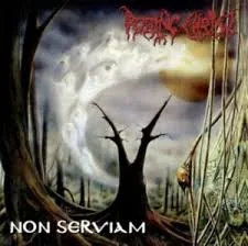 Copertina di Non Seviam
