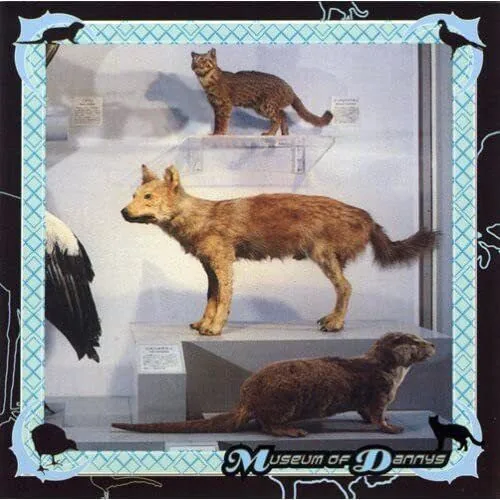 Copertina di Museum Of Dannys
