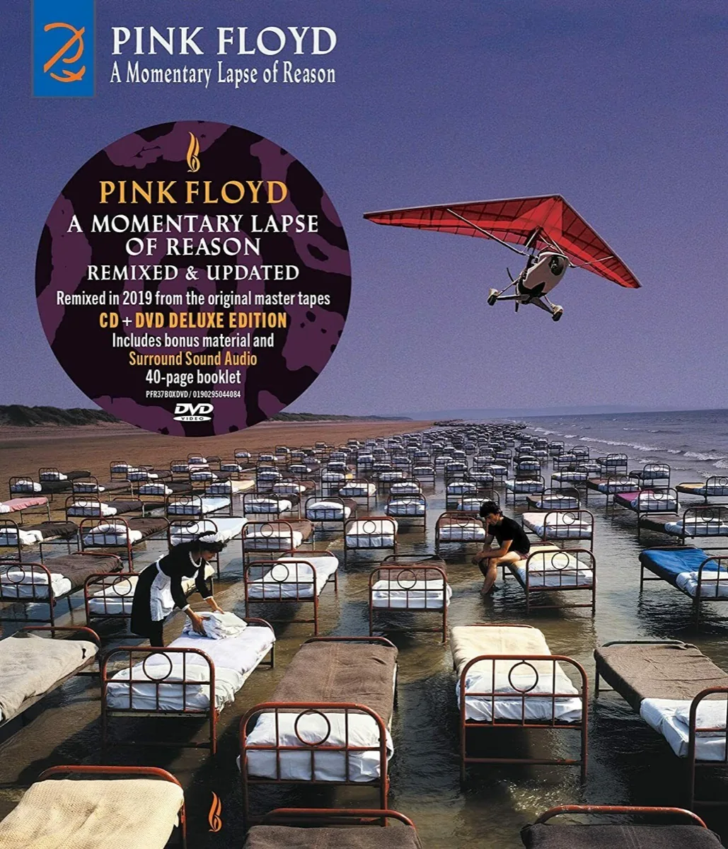 Copertina di A Momentary Lapse Of Reason