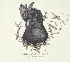 Copertina di Already Gone