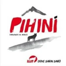Copertina di Tornando Al Monte