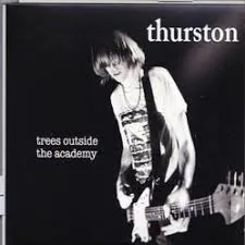 Copertina di Trees Outside The Academy