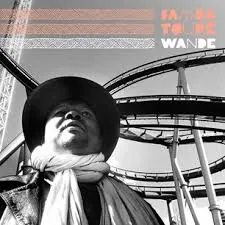 Copertina di Wande