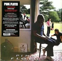 Copertina di Ummagumma