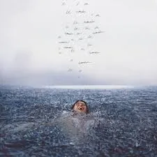 Copertina di Wonder