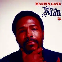 Copertina di You'Re The Man
